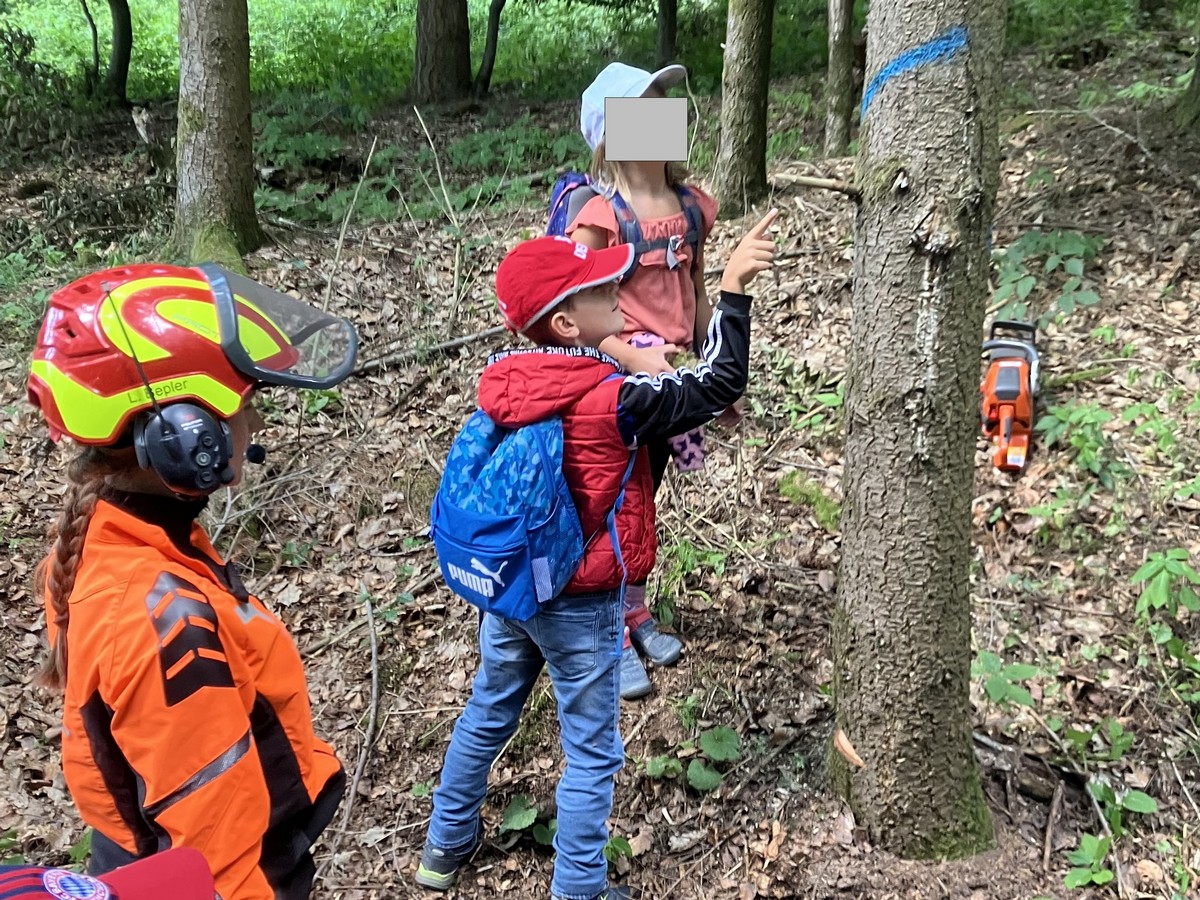 Baum fällt3